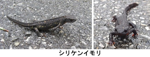 季節 梅雨