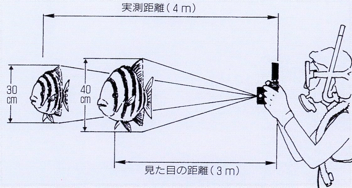 大きく見える